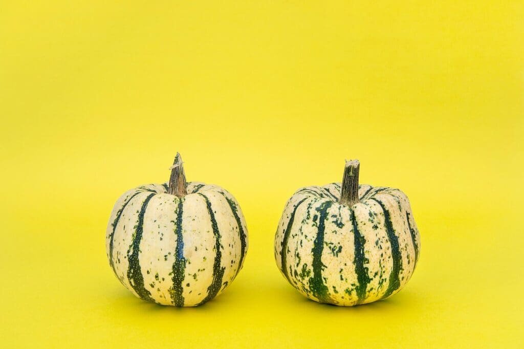 Gucci Jackie 1961 Medium Bag review